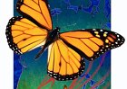 MONARCH MIGRATION REWARDS